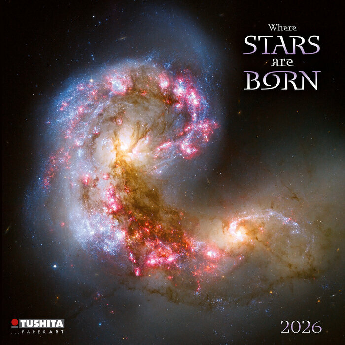 Calendrier 2026 Etoiles Nbuleuse