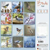 Calendrier Mural 2025 Oiseaux du Jardin Mésange