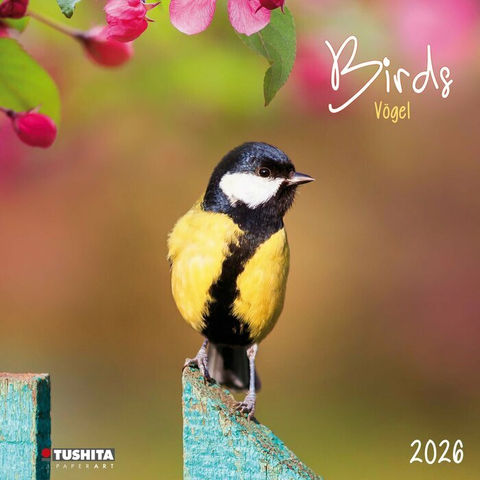 Calendrier 2026 Oiseaux Nature Mésange