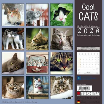 Calendrier 2025 Chats Cool