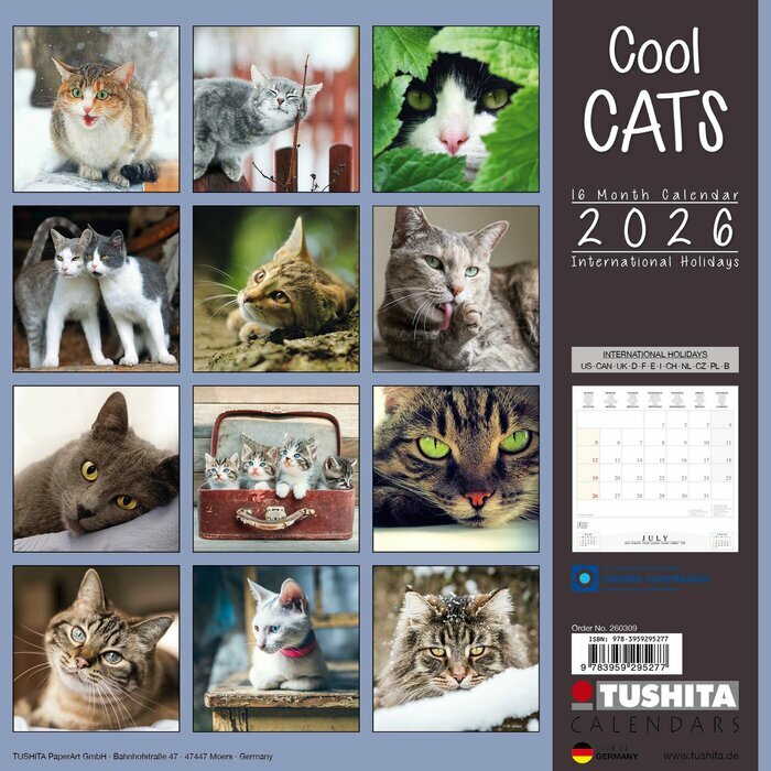 Calendrier 2026 Chats Cool Chatons