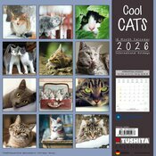 Calendrier 2026 Chats Cool Chatons