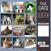 Calendrier Mural 2025 Chats Birman Maine coon Chat Cool