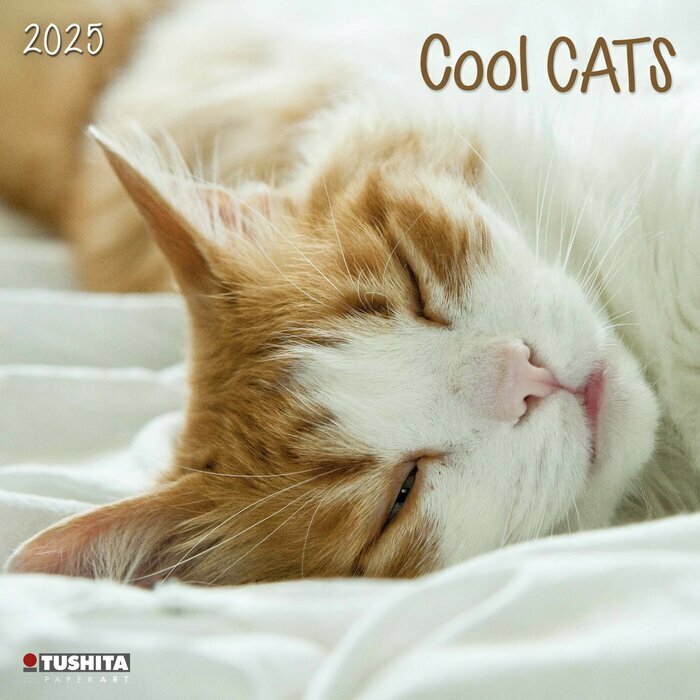 Calendrier 2025 Chats Cool Roux et Blanc