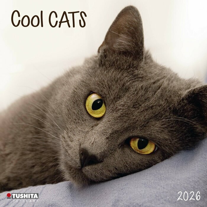 Calendrier 2026 Chats Cool Chartreux