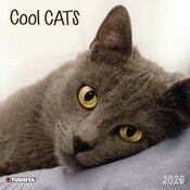 Calendrier 2025 Chats Cool Roux et Blanc