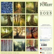 Calendrier Mural 2025 Foret Automne Hiver Ete