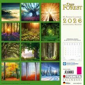 Calendrier Mural 2025 Foret Automne Hiver Ete