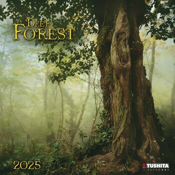 Calendrier 2025 Forêt Deep 