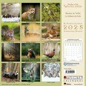 Calendrier 2025 Animaux Foret Ours Chouette