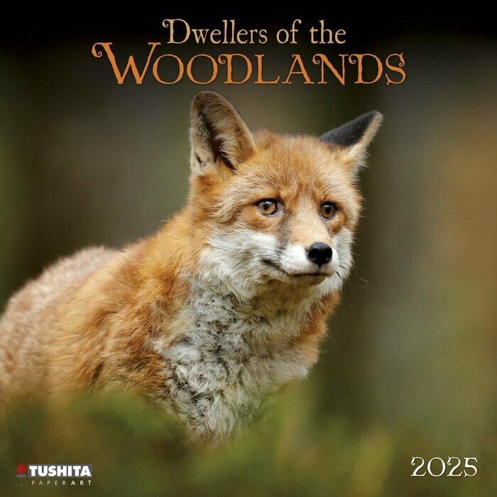 Calendrier 2025 Animaux Fort Renard Ours