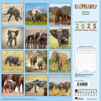 Calendrier 2025 Eléphants 