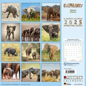 Calendrier 2025 Elephants Bb Famille