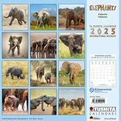 Calendrier 2025 Elephants Bébé Famille