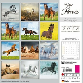 Calendrier 2025 Chevaux Magiques