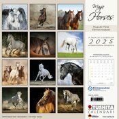 Calendrier Mural 2025 Chevaux Nature