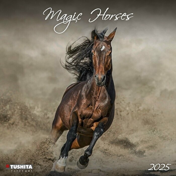 Calendrier 2025 Chevaux Magiques Sauvages
