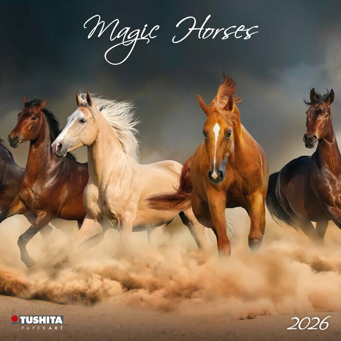 Calendrier 2026 Chevaux Magiques 