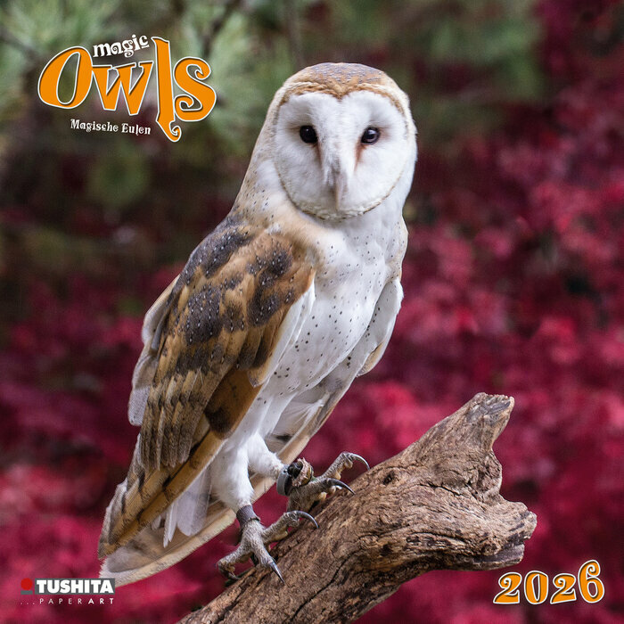 Calendrier Chouette Foret  2026