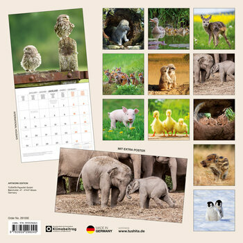 Calendrier 2025 Bébés Animaux avec Poster Offert