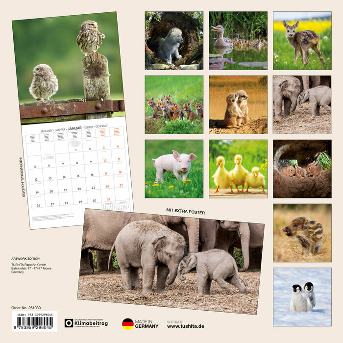 Calendrier 2026 Bbs Animaux elephant