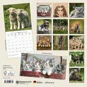Calendrier Mural 2025 Animaux bbs Chatons Ourson
