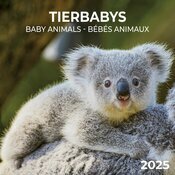 Calendrier 2025 Bbs Animaux Koala
