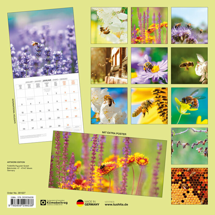 Calendrier Papier 2026 Abeille Butinant Lavande