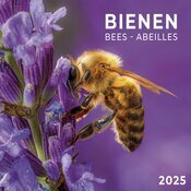 Calendrier 2025 Abeille Butinant Lavande