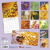 Calendrier Mural 2025 Abeille Ruche