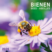Calendrier Mural  2026 Abeille Butinant Lavande