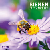 Calendrier 2025 Abeille Butinant Lavande