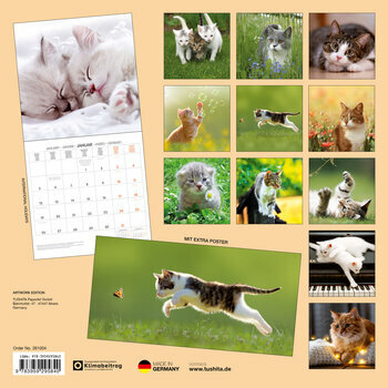 Calendrier 2025 Chats et Chatons avec Poster Offert