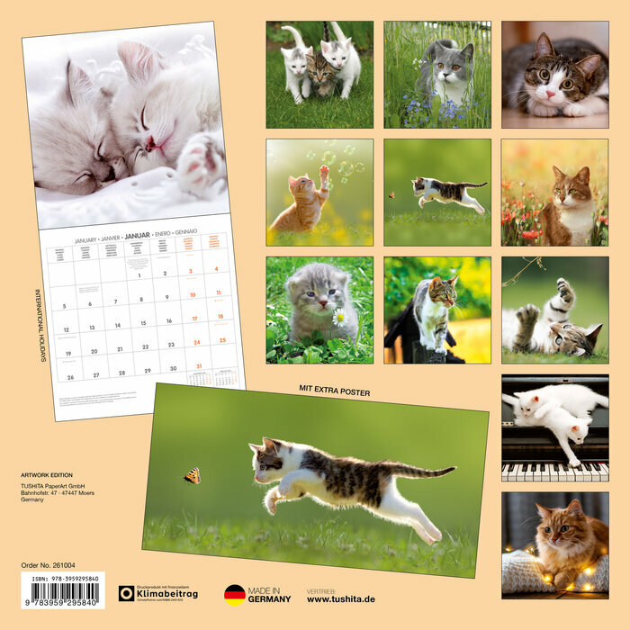 Calendrier Mural Chat Gris 2026