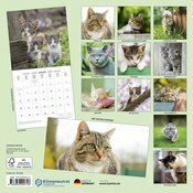 Calendrier Mural Chats et Chatons 2025