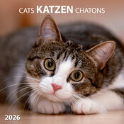 Calendrier Papier Chat Gris 2026
