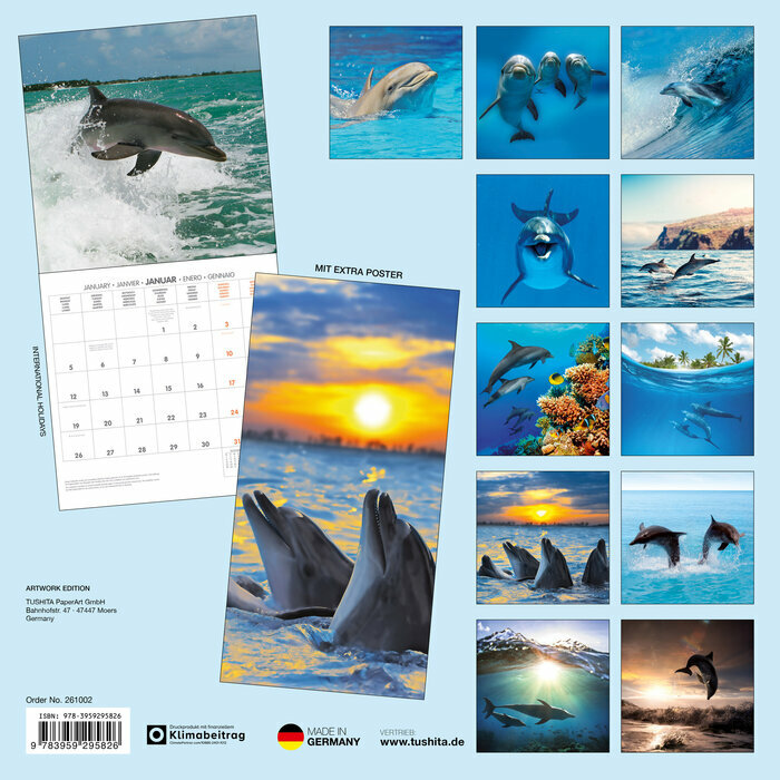 Calendrier Papier 2026 Dauphin Mer
