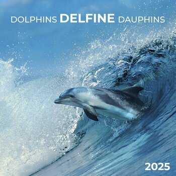 Calendrier 2025 Dauphin avec Poster Offert