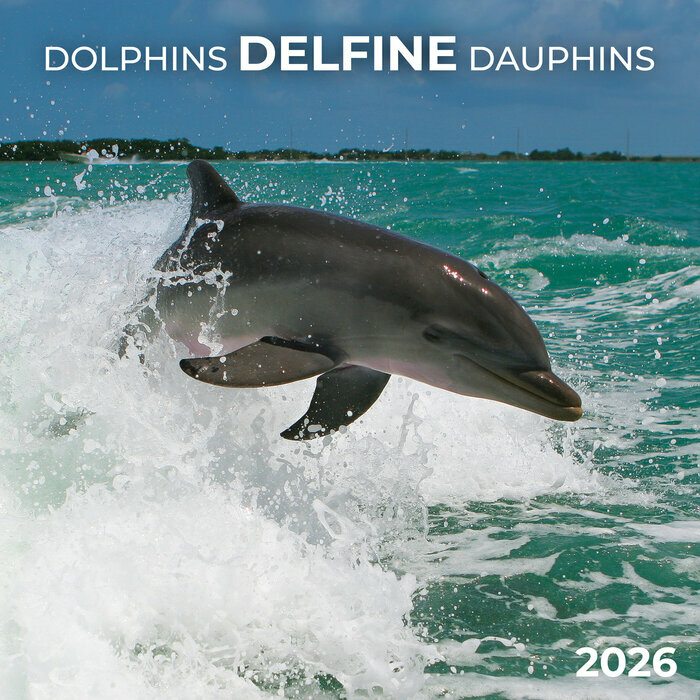 Calendrier Mural 2026 Dauphin Mer