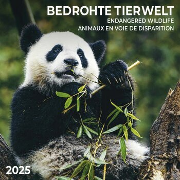 Calendrier 2025 Animaux en Voie de Disparition avec Poster Offert