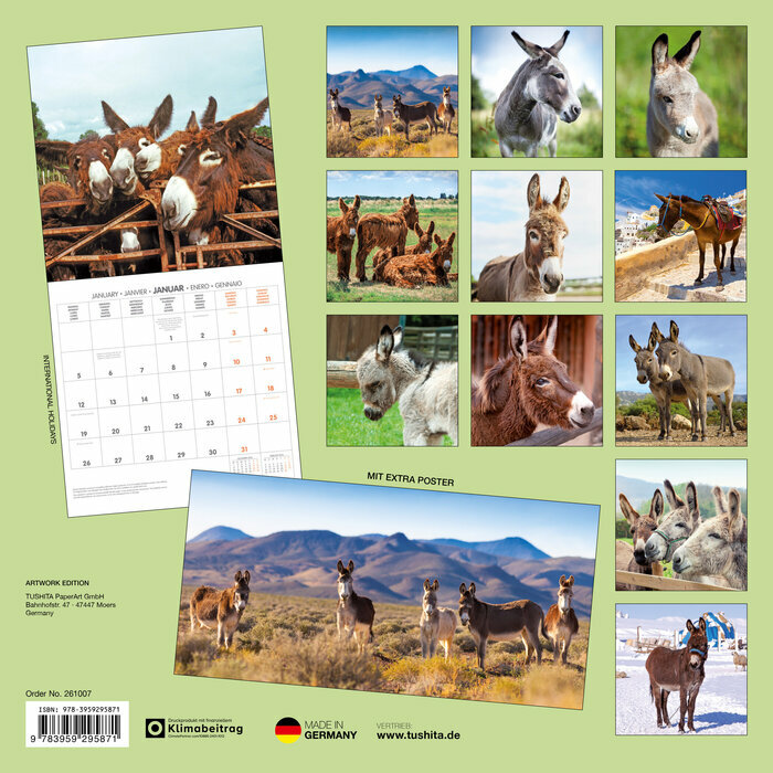 Calendrier Papier 2026 Anes Baudet