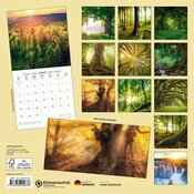 Calendrier Mural 2025 Fort Arbre Majestueux