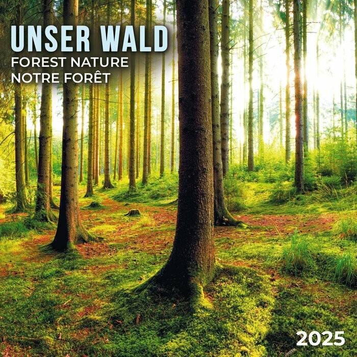 Calendrier 2025 Fort et Arbre