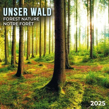 Calendrier 2025 Forêt avec Poster Offert