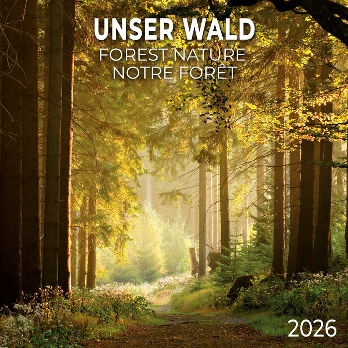 Calendrier Papier 2026 Fort et Arbre