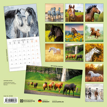 Calendrier 2025 Chevaux avec Poster Offert