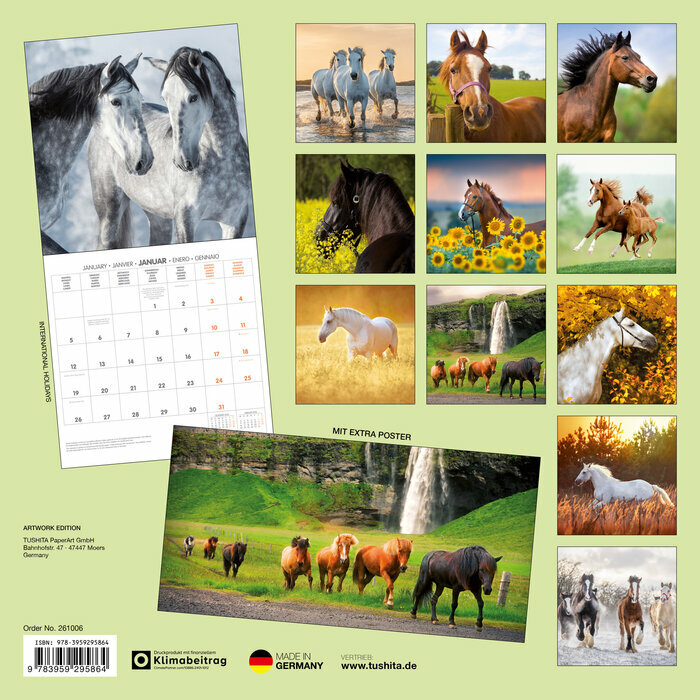 Calendrier Papier 2026 Chevaux Champ Fleur