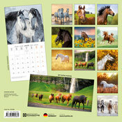 Calendrier Papier 2026 Chevaux Champ Fleur