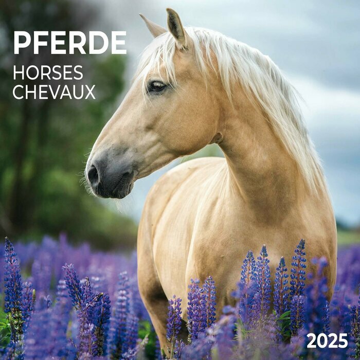 Calendrier 2025 Chevaux Champ Fleur