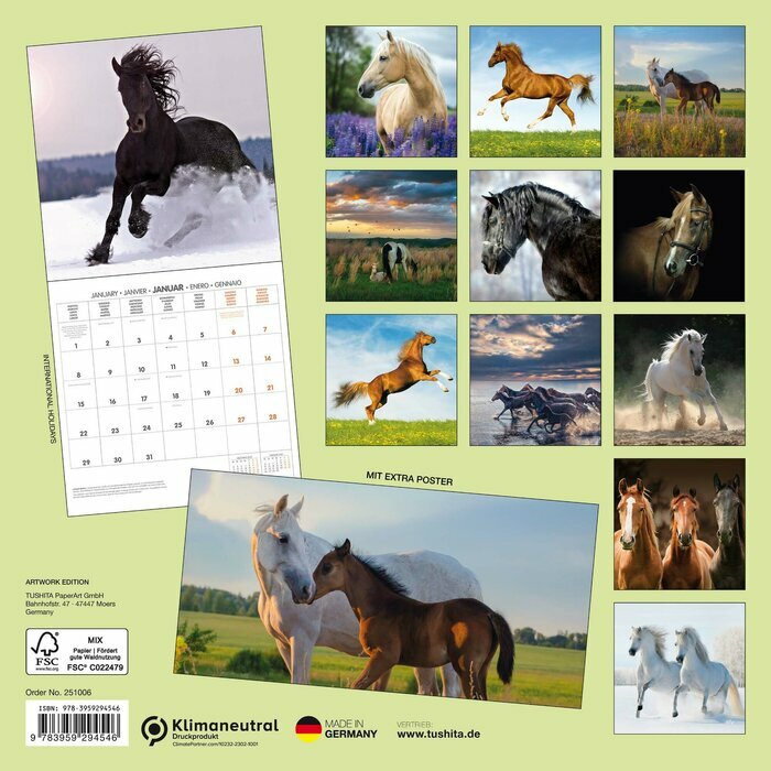 Calendrier Mural 2025 Chevaux Libert